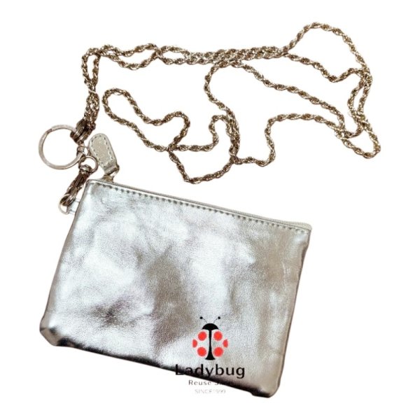 画像1: ゴールド色ファスナーポーチ　チェーンショルダー　キーリング付き (1)