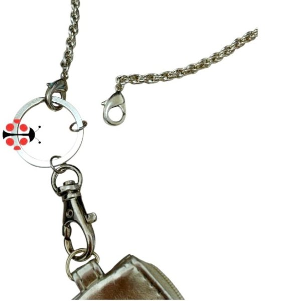 画像4: ゴールド色ファスナーポーチ　チェーンショルダー　キーリング付き (4)