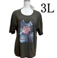 画像1: REALIZED　レディース　Tシャツ　半袖　接触冷感　速乾　カーキ　ブラウン　3L　大きいサイズ (1)