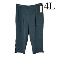 画像1: Wig Wag　レディース　大きいサイズ　ゆったりパンツ　スウェード調　モスグリーン　4L