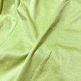 画像8: B.S.Saddle　レディース　大きいサイズ　エニワイズ加工　半袖カットソー　ライトグリーン　4L (8)