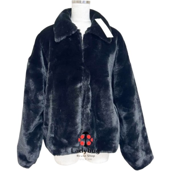 画像1: FRAME　ファーコート　フェイクファー　ショートコート　黒　ブラック　F (1)