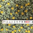 画像3: ビンテージ生地　P&B Textiles Fabric "Timberline" by Joan Statz　2005　コットン生地　イエローアップル　グリーン　109×310 (3)