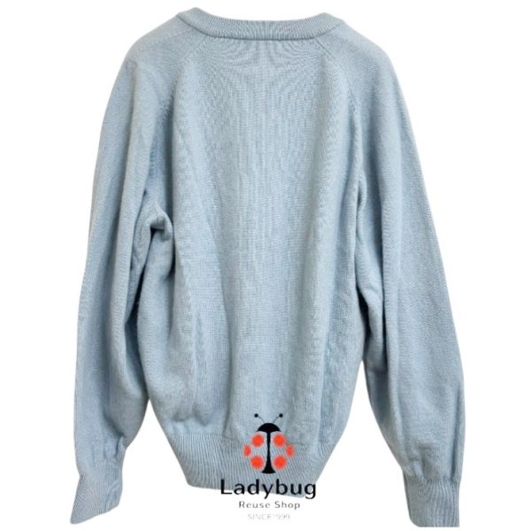 画像2: PARIS　メンズ　カシミヤセーター　Vネックニット　長袖　ライトブルー　M (2)