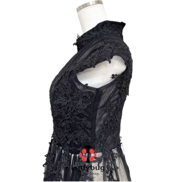 画像4: チャイナ服風　ハイネック　チュールレース　ロングドレス　ブラック　黒　M (4)