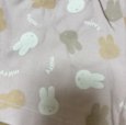 画像6: Miffy　ミッフィー　上下セット　半袖カットソー　ショートパンツ　ルームウェア　90　ピンク (6)