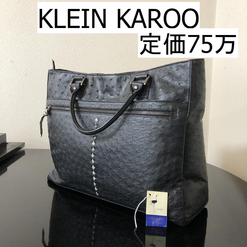 KLEIN KAROO クラインカルー オーストリッチ ハンドバッグ - バッグ